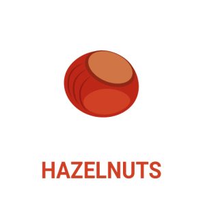 hazelnuts